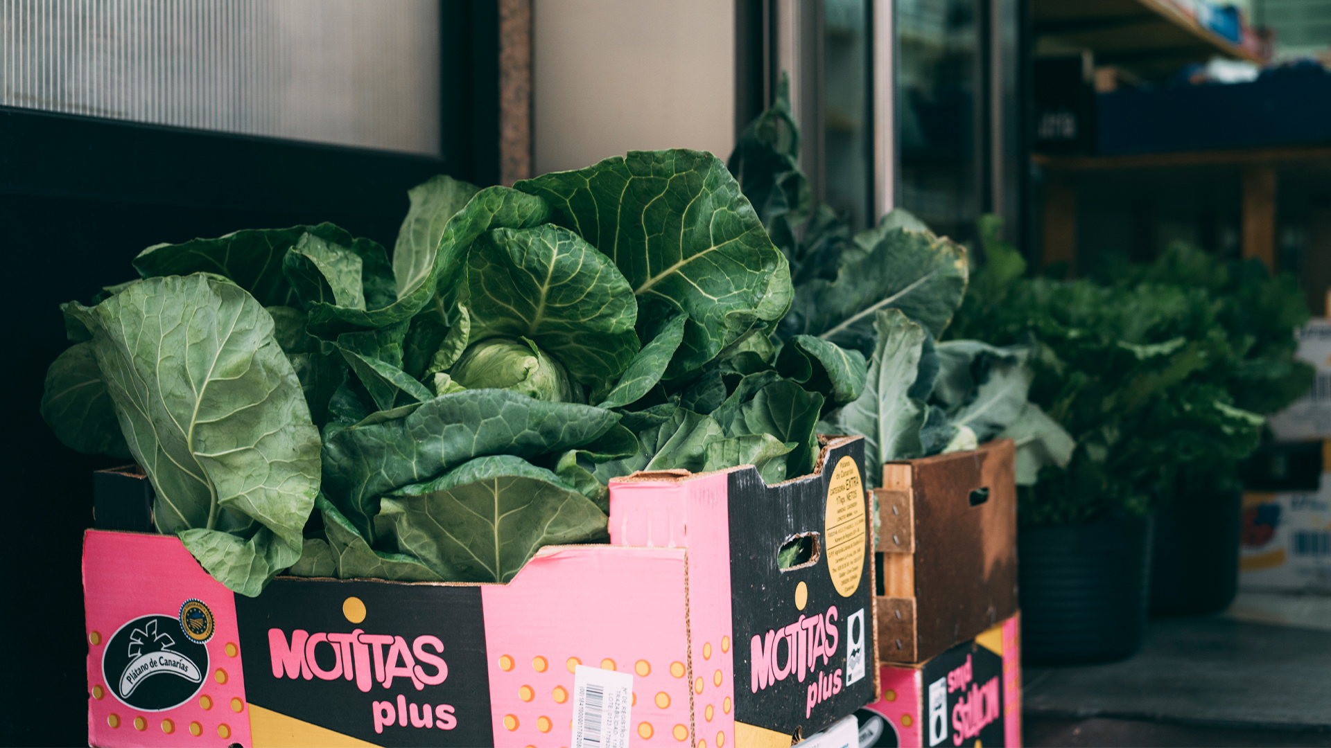 Verduras colocadas fora da tenda